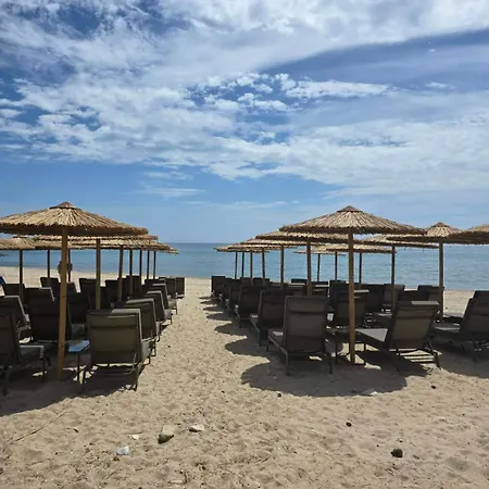 Anna * 利迈纳里亚